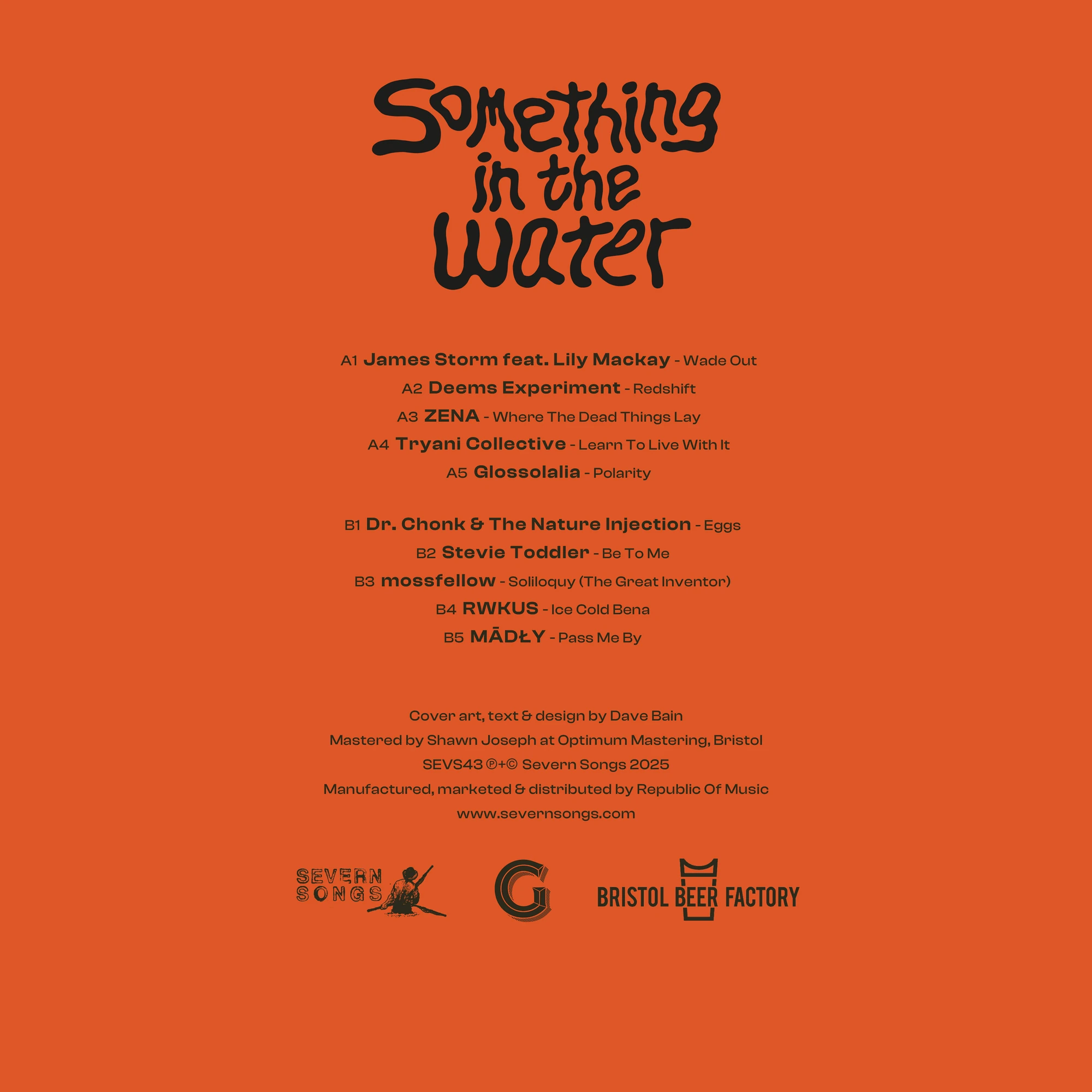 Something in the Water vinyl back cover